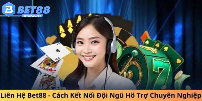 Tìm hiểu lý do người chơi nên tham gia liên hệ 